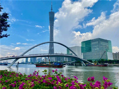 上海茶叶资源群内限时优惠，妹子们赶紧抢购